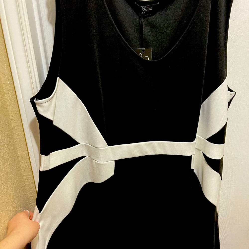 NWT Black & White Swing Dress